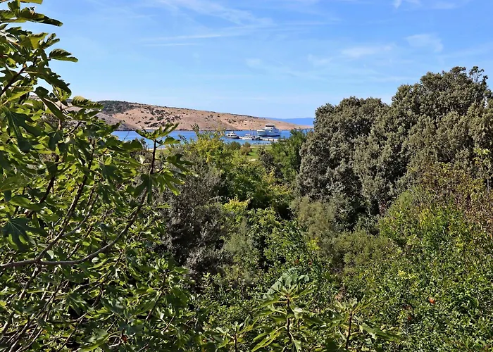 Apartmán With Parking Space - Rab - 18001